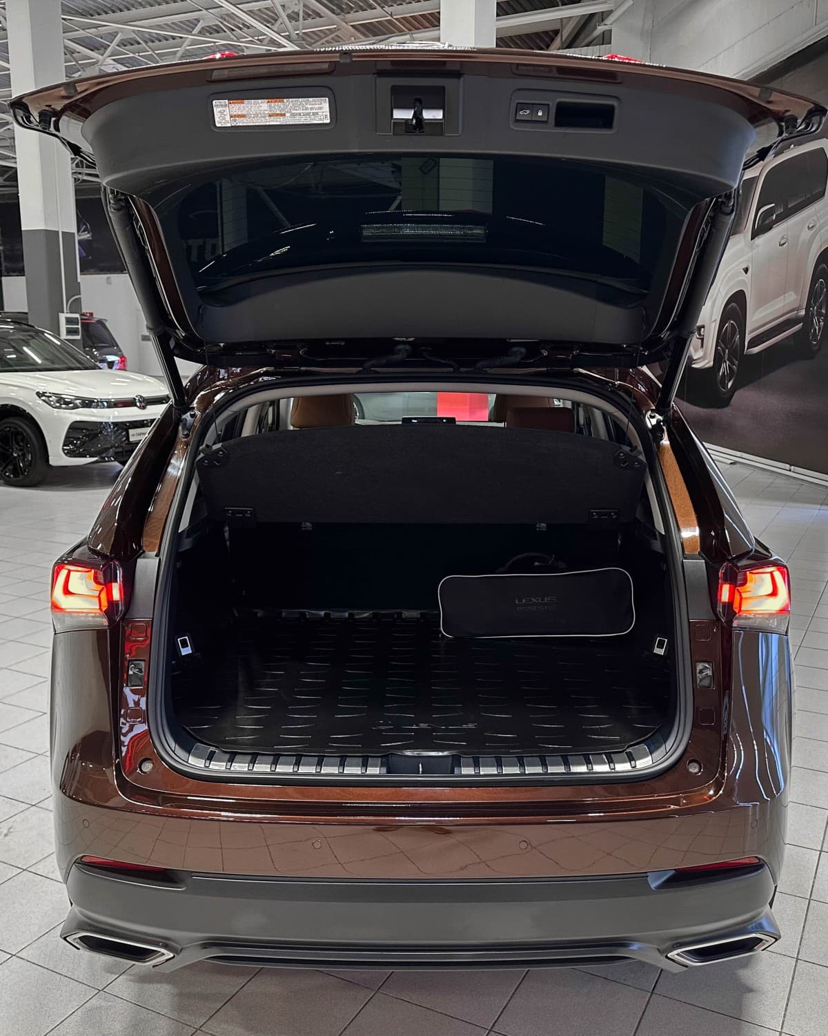Lexus NX300 - фото 13